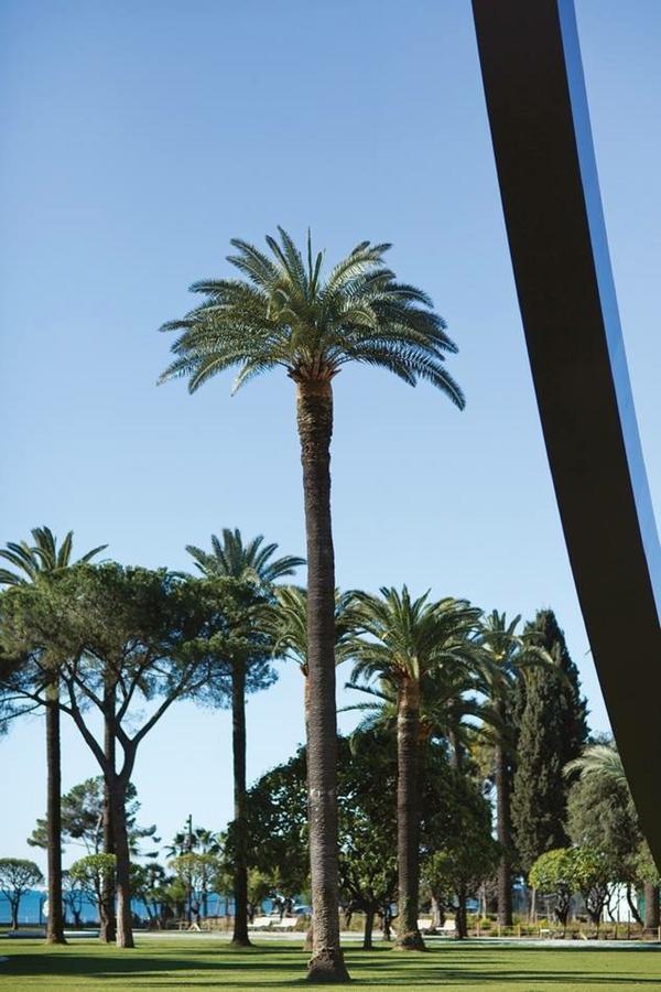 Centrale 2 - F4 Spacieux Et Confortable Au Centre Du Vieux-Nice Appartement Buitenkant foto